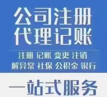 乐鱼app：代劳记账是做什么的？老账人来告诉你