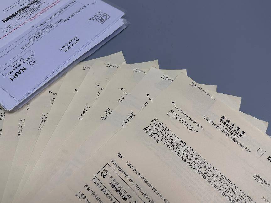 乐鱼app：从计划到提交详析香港公司年审全流程！(图5)