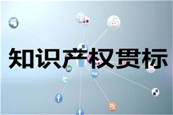 乐鱼app：以学问产权强邦兴办护航高质料进展